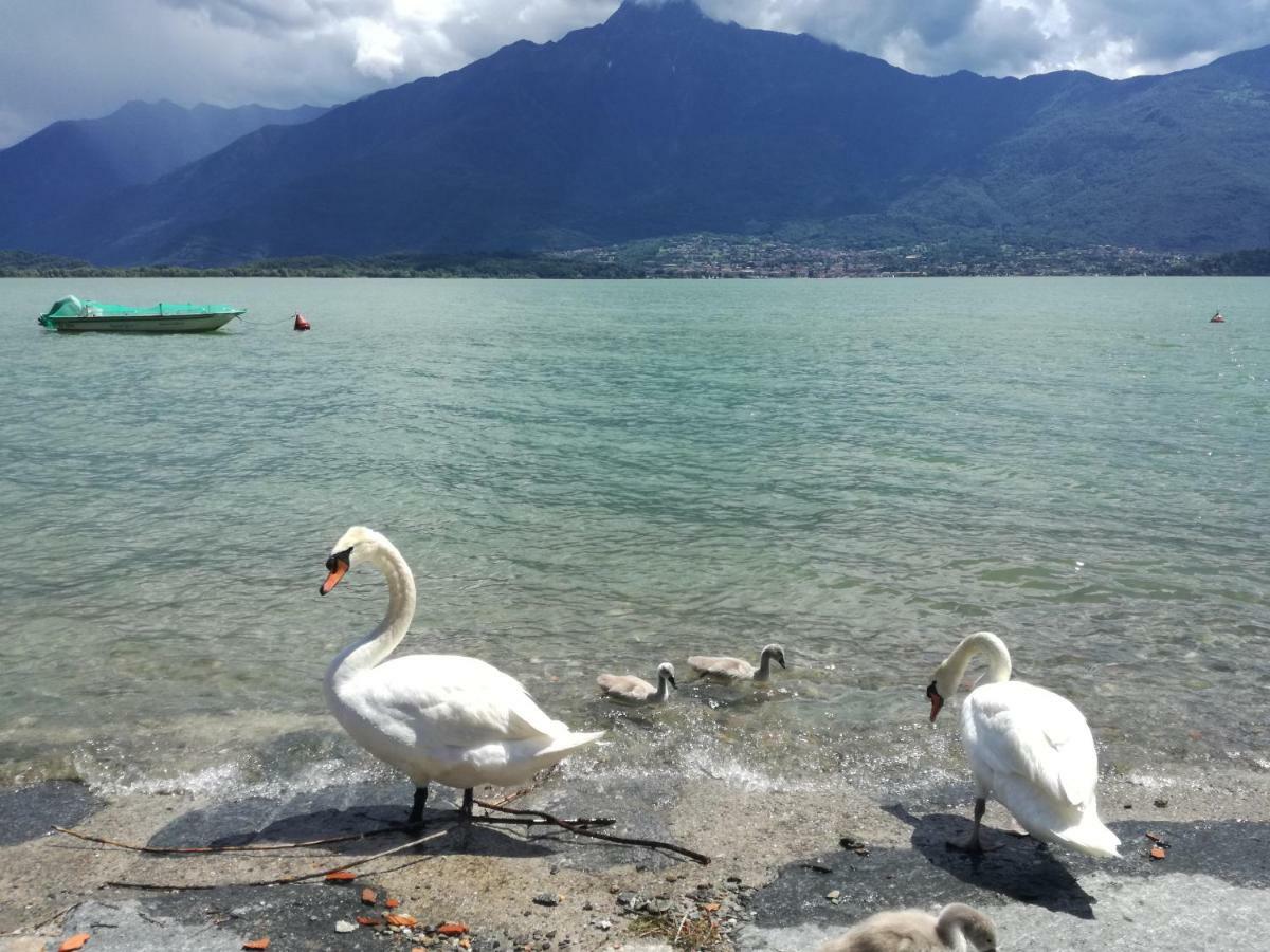 Grazia Al Lago B&B Домасо Екстериор снимка